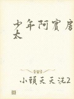 少年阿宾房东太太封面