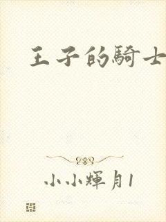 王子的骑士