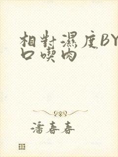 相对湿度BY大口吃肉