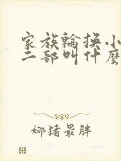 家族轮换小说第二部叫什么名字