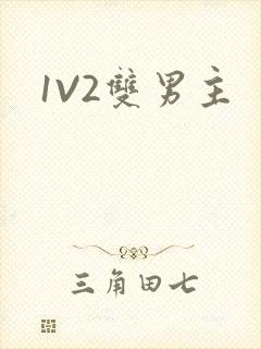 1V2双男主