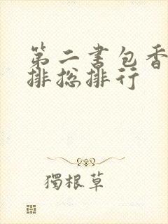 第二书包香辣肉排总排行