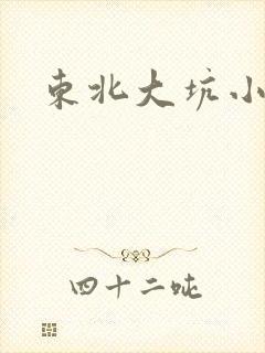 东北大坑小说