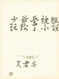 少爷受被粗汉H玩松了小说封面