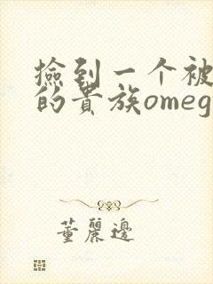 捡到一个被抹布的贵族omega