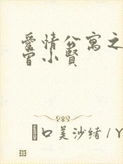 爱情公寓之极品曾小贤封面