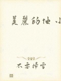 美丽的他 小说封面