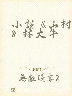 小说《山村情事》林大牛