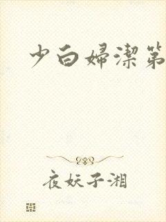 少白妇洁第二部封面