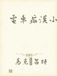 电车痴汉小说封面