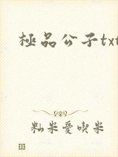 极品公子txt