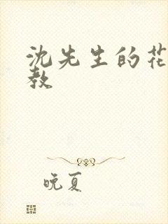 沈先生的花式管教