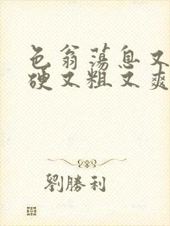 色翁荡息又大又硬又粗又爽小莹