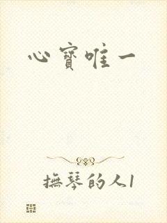 心宝唯一