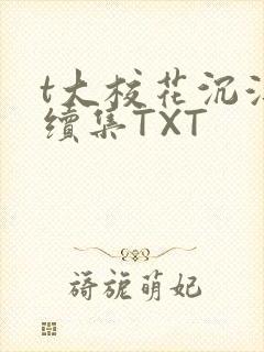 t大校花沉浮录续集TXT封面