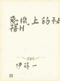 飞机上的秘密服务H