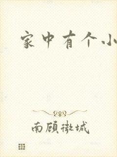 家中有个小姨子封面