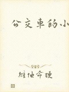 公交车的小说
