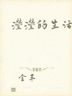 滢滢的生活日记封面