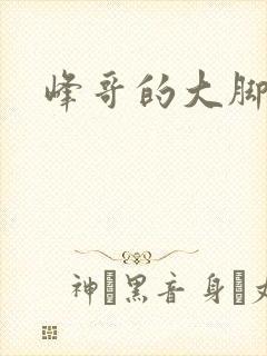 峰哥的大脚封面