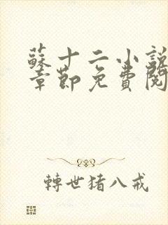 苏十二小说最新章节免费阅读