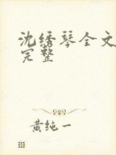 沈绣琴全文阅读完整封面