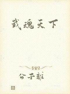 武魂天下