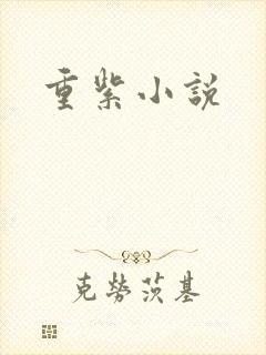 重紫小说