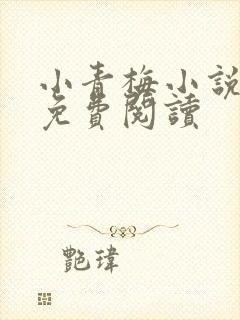 小青梅小说全文免费阅读封面