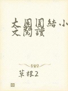 大团圆结小茹全文阅读