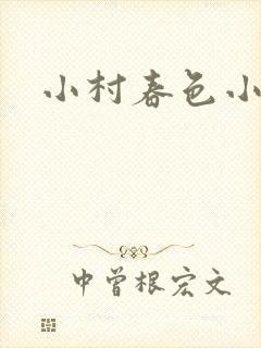 小村春色小说