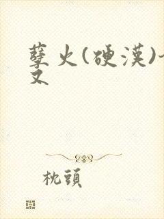 孽火(硬汉)今又