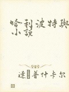 哈利波特与密室小说