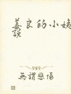 善良的小姨子小说