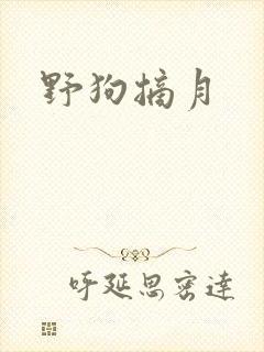 野狗摘月