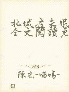 北城夜未眠小说全文阅读免费