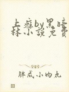 上瘾by黑暗森林小说免费