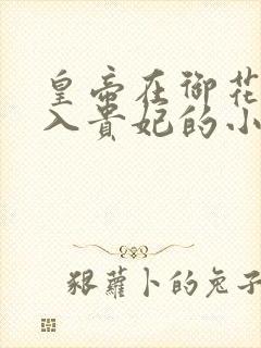 皇帝在御花园进入贵妃的小说