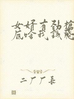 女婿有劲枪枪到底啥我钱飞了封面