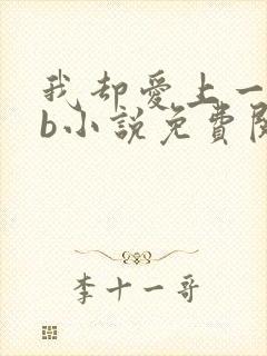 我却爱上一个sb小说免费阅读无弹窗