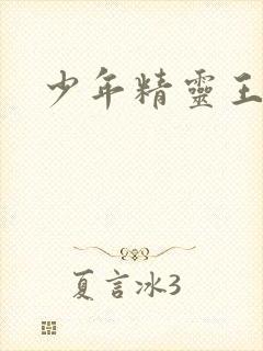 少年精灵王