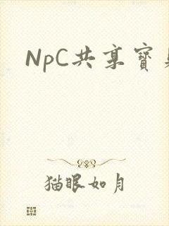 NpC共享宝贝