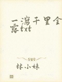 一泻千里金银花露txt