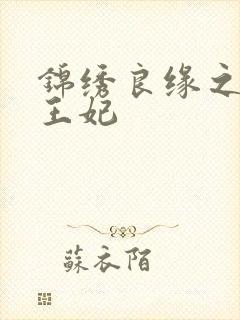 锦绣良缘之北地王妃