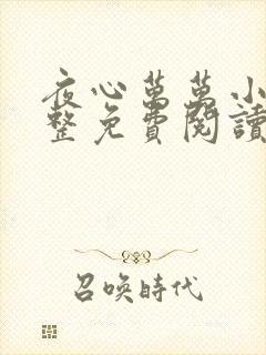 夜心万万小说完整免费阅读全文