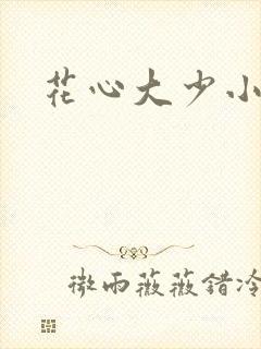 花心大少小说