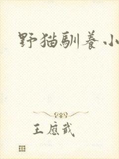 野猫驯养小说