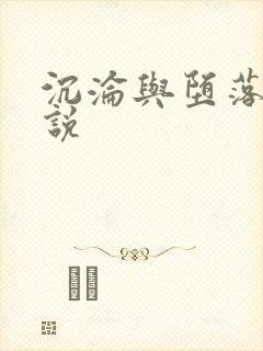 沉沦与堕落的小说封面