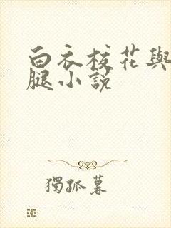 白衣校花与大长腿小说