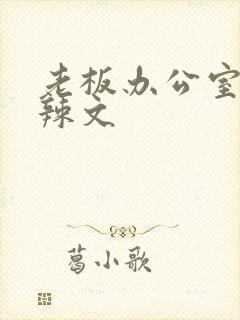 老板办公室系列辣文